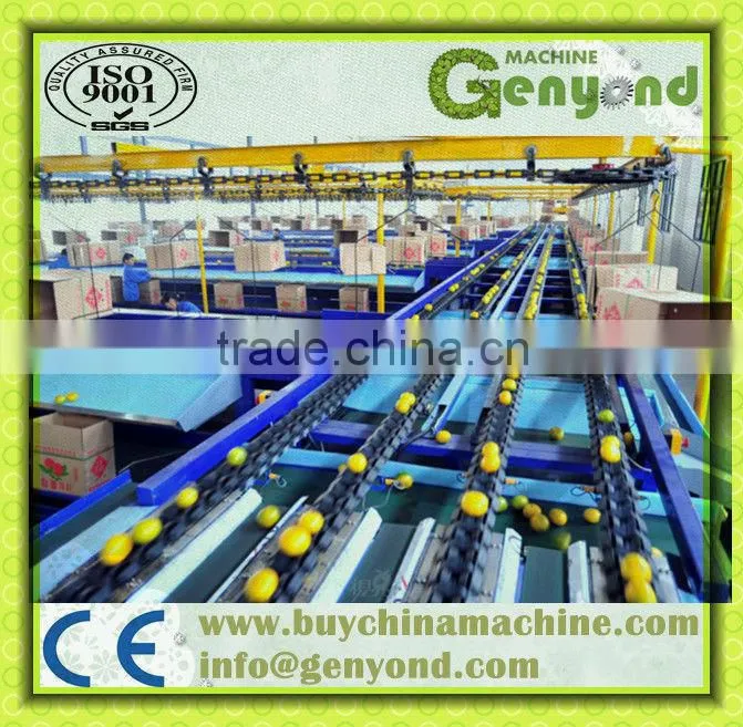 orange opto-electronic grading line