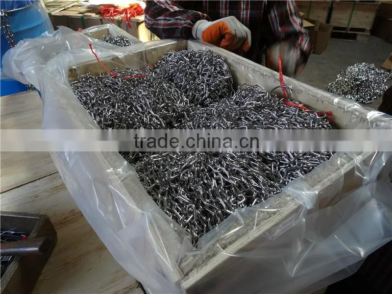 G80 DIN763 electric galvanized carbon steel chain