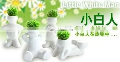 Little white man,Grass doll.Grass head