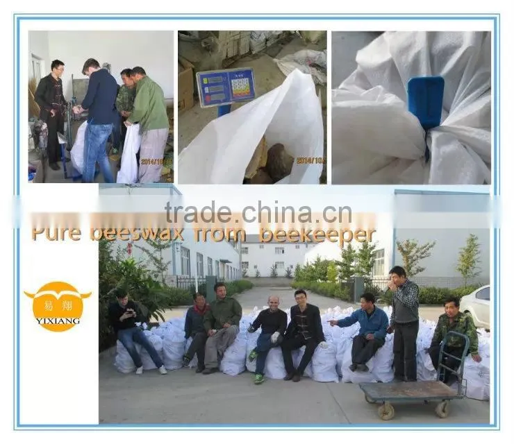 Stainless steel Manual wax press machine YX-WP-1 for processing the bee wax