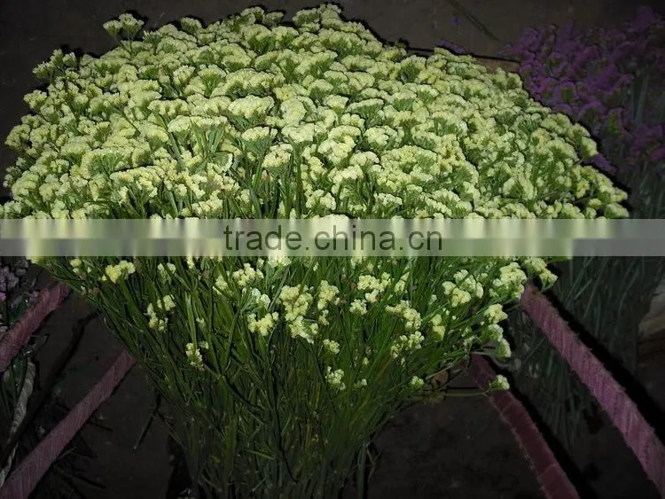 Colorful hot sale yellow flower real touch myosotis