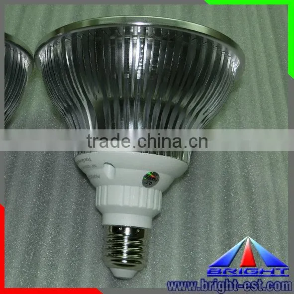 China supplier plastic type led Par light, led Par38 spotlight, led COB chip spot light E27