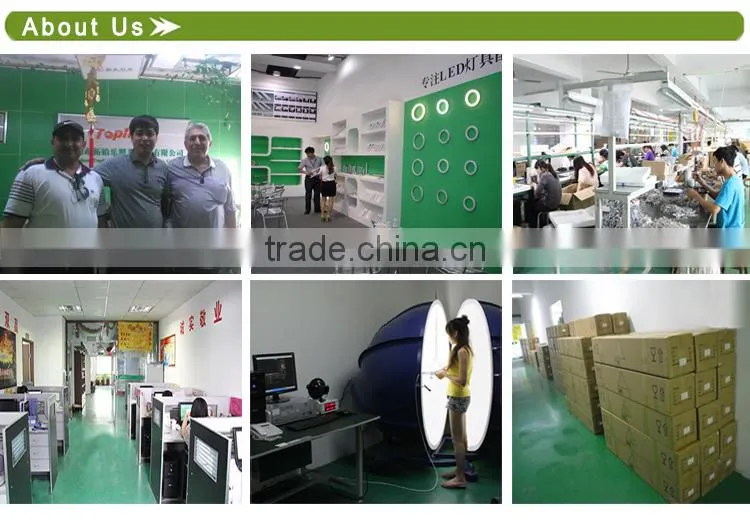 100-277V high brightness 11w best price 205mm led circline bulb t9