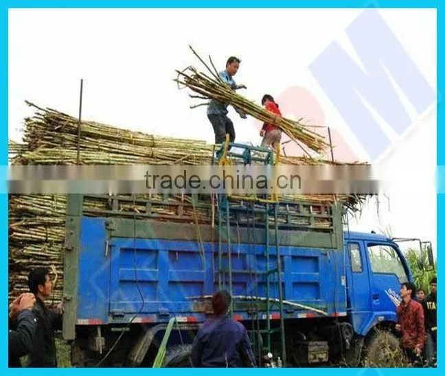 SL5 small size sugarcane loader for sale/ sugarcane loading machine from TAGRM
