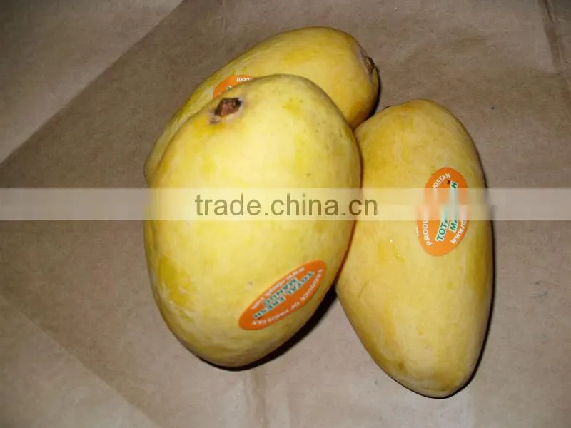Fresh Mango from Pakistan with Approved EU Quality Standards