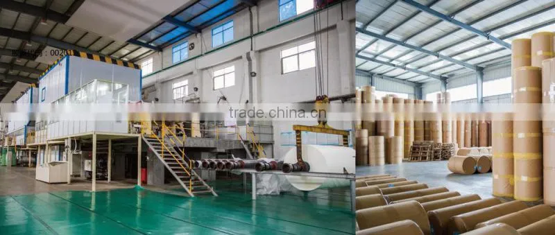 tea bag filter paper &tea filter paper in roll 2015