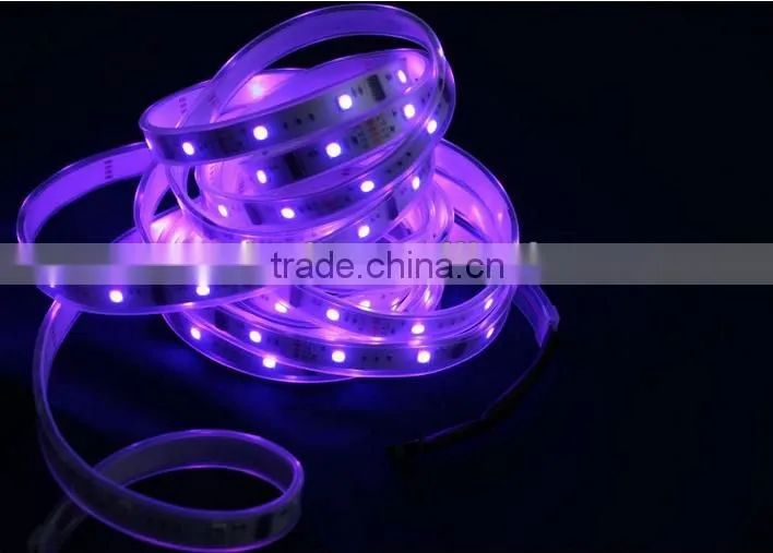 House or outdoor decoration Dream Color Digital flexible LPD6803 LED Strip