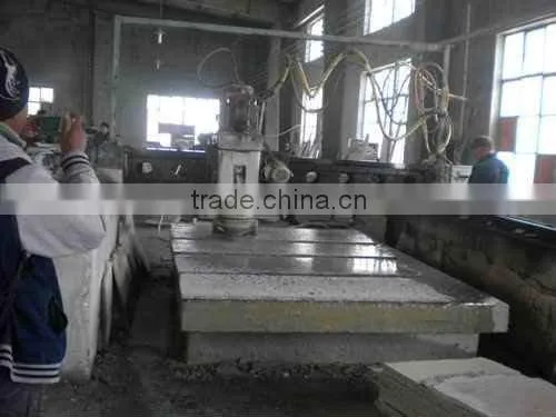 TJ-320*200 Bridge Type Single-head Leveling Machine