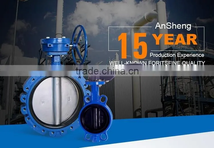 Sanitary Stainless steel Duplex filter