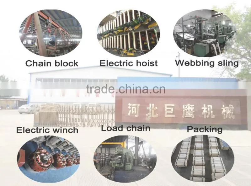 Heavy duty HSZ types of 20 ton manual crane hook block