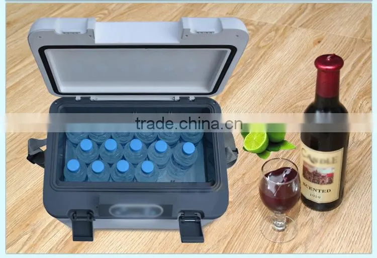 Portable DC12V auto fridge