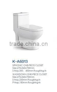 bathroom sanitary ware siphonic one piece wc spy toilet cam