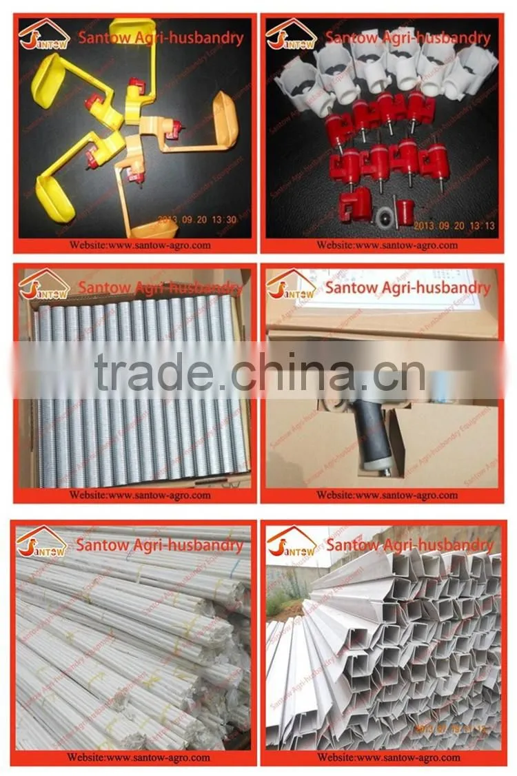Automatic chicken egg layer cages poultry cage battery cage system for sale