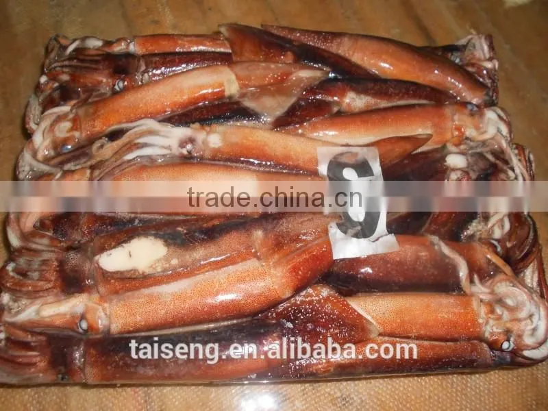 California Frozen Fresh Whole Round Squid With Price