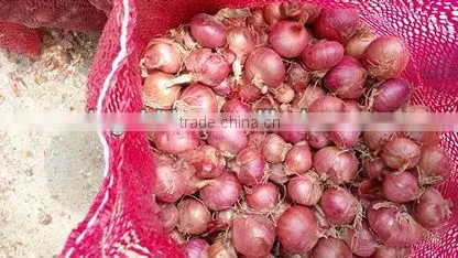 Fresh red onion