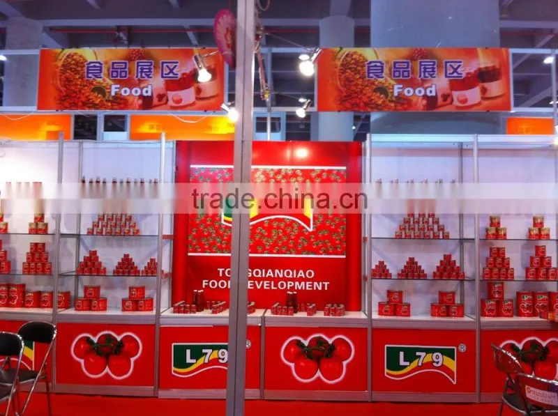 double concentrated China tomato paste in sachet pouch l79 alavie 100g 50g 70g 40g 100g factory 28%-30%