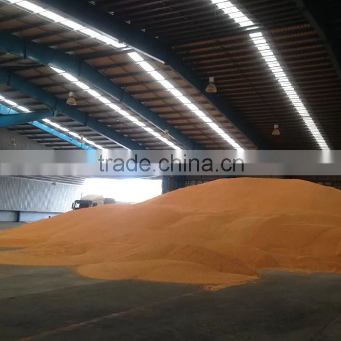 Yellow Corn , Yellow Maize , Non GMO Yellow Corn