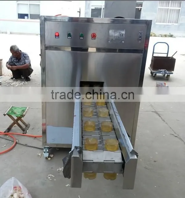 Garlic Root Concave Cutting Machine|Garlic Root Cutting Machine|Garlic Root Cutter