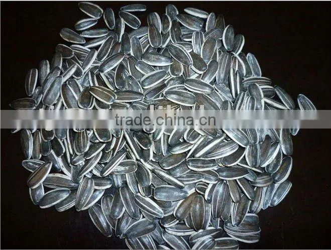 sunflower seeds from Chinese