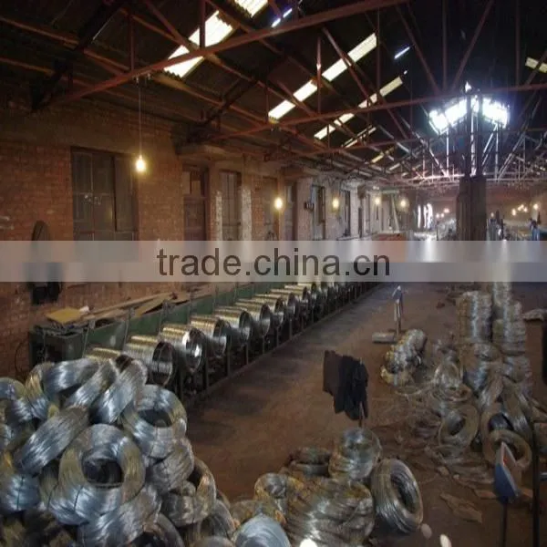 Galvanized Iron Wire