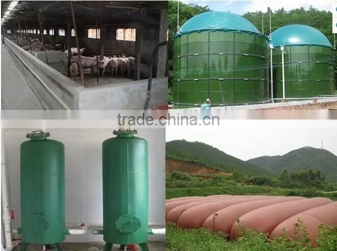 Hot Sale Biogas Plant Equipment/ Biogas Scrubber/ Biogas Storage Bag/ Biogas Holder/ Biogas Storage Tank/ Biogas Generator