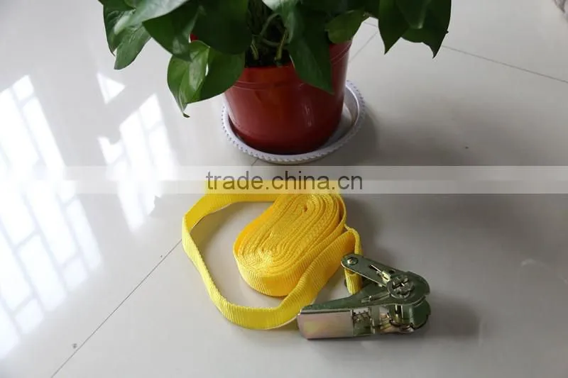 honey house straps with metal and 10 meters long in bulk selling for export