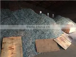 Umbrella head roofing nail with washer