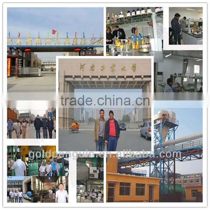 rice bran cake solvent extraction equipment