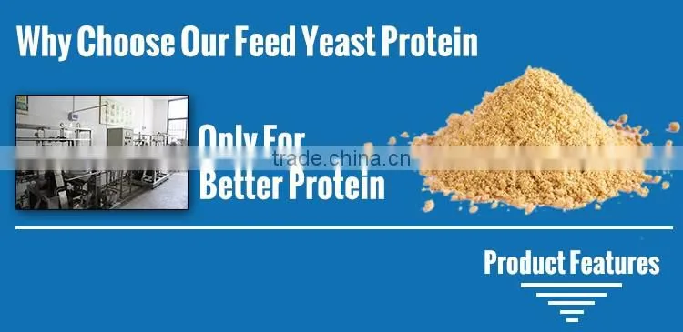 Feed Yeast Factory For 55, 60,65 Protein