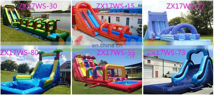 Inflatable Dolphin Water Slide No Pool