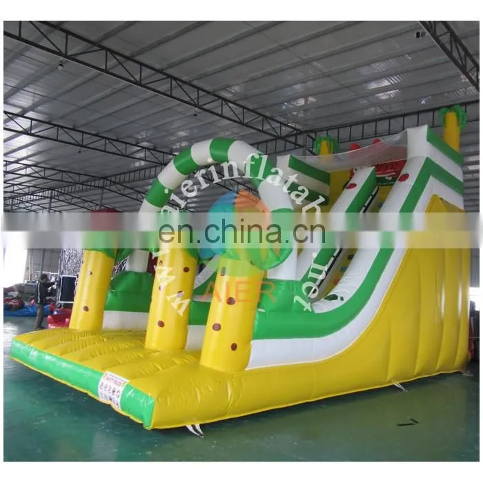 Commercial grade tiger inflatable dry slide