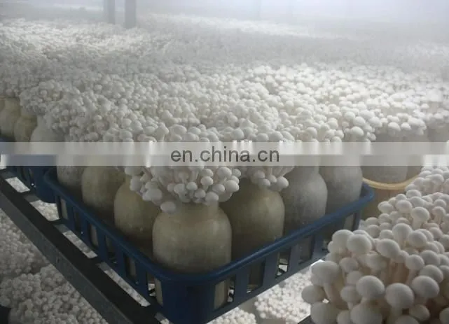 Mushroom cultivate bag filling machine price
