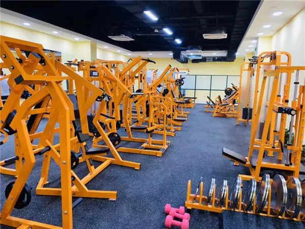 Ruibaost Fitness Equipment Co.,Ltd company overview - view 2