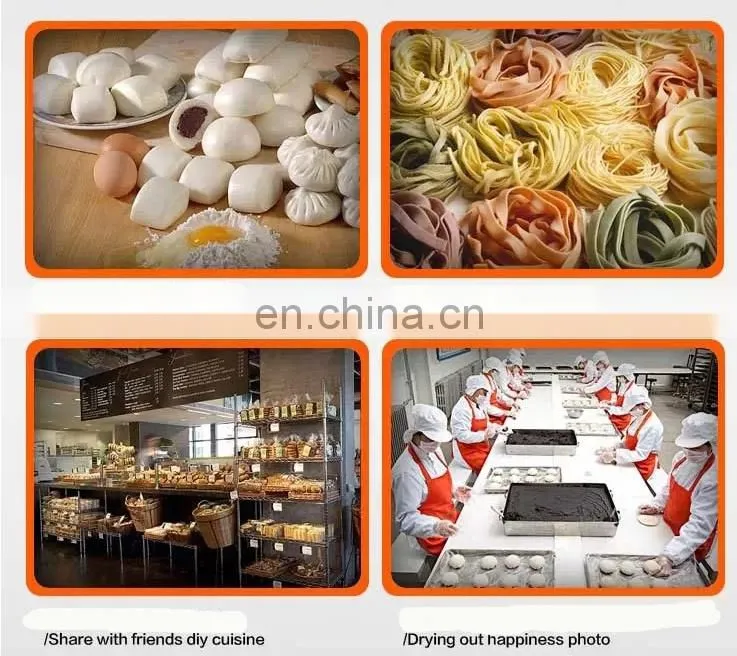 Dough Mixer for making bread pasta ravioli dough mixing machine with high efficiency vertical flour mixing machine