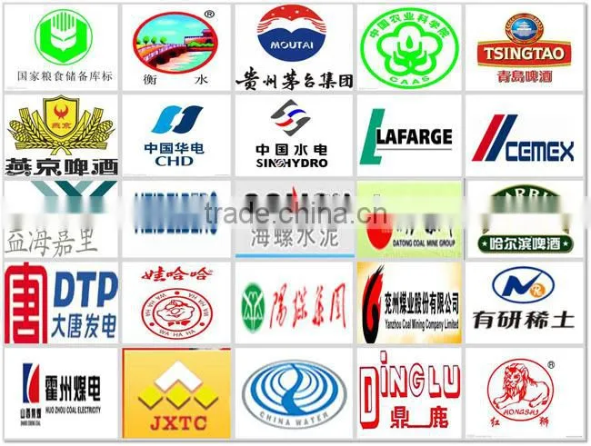 SRON ISO CE SGS Certified 300ton Steel Silo Cement Storage