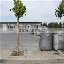 Qingdao Develop Import & Export Co., Ltd. company overview - view 1