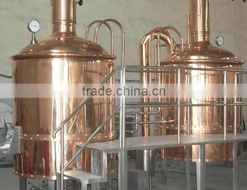Ruijia manufacturer supply beer machine for home/pub
