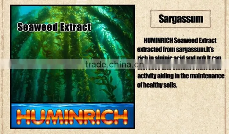 FAQ 27--Effect Of Seaweed Fertilizer On Red Bayberry