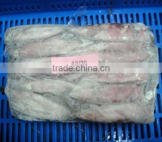 BQF clean frozen squid hot sale