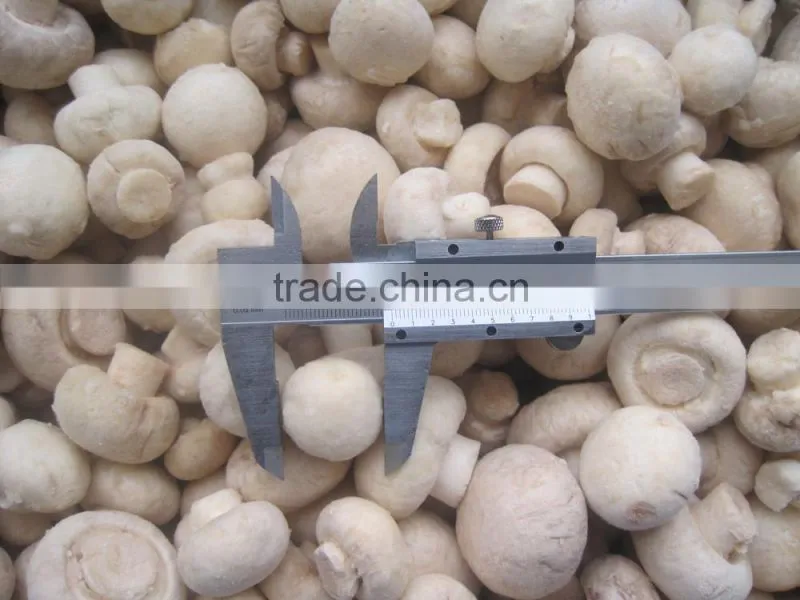 IQF Frozen Champignon Mushroom From China
