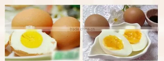 Hot sell fashion temperature controlled colour changing egg timer FDA egg shape kitchen timer