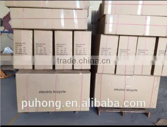 500W 48V/10AH electric bicycle,electric bicycle motor