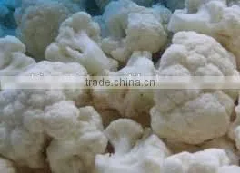 IQF frozen Cauliflower with good quality for sale