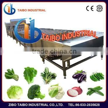 Industrial Fruit Vegetable Washer (with hair roller for purification)