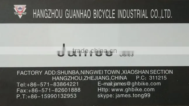 48cc dirt bike gas chopper bike gas motor chopper bike