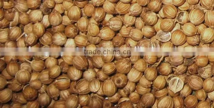 Pure Coriander Oil For Export | 100% Natural Coriander Oil