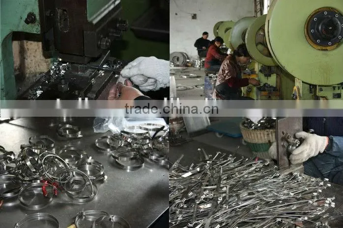 Stainless Steel T Bolt Hose Clip