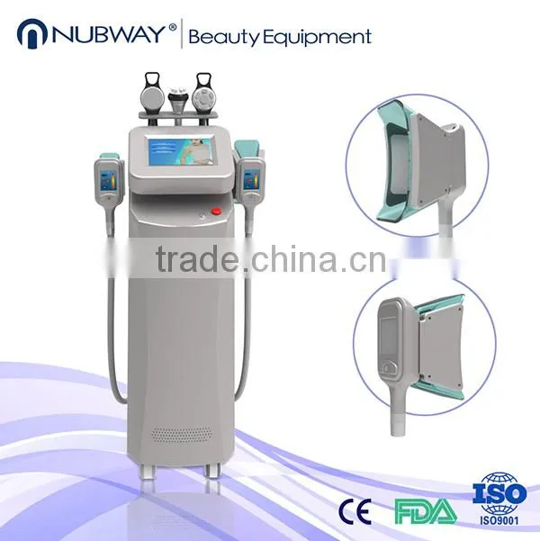 Factory direct selling!!Fat Cavitation Device For Home/Weight Loss Machine/RF--Pro Cryolipo