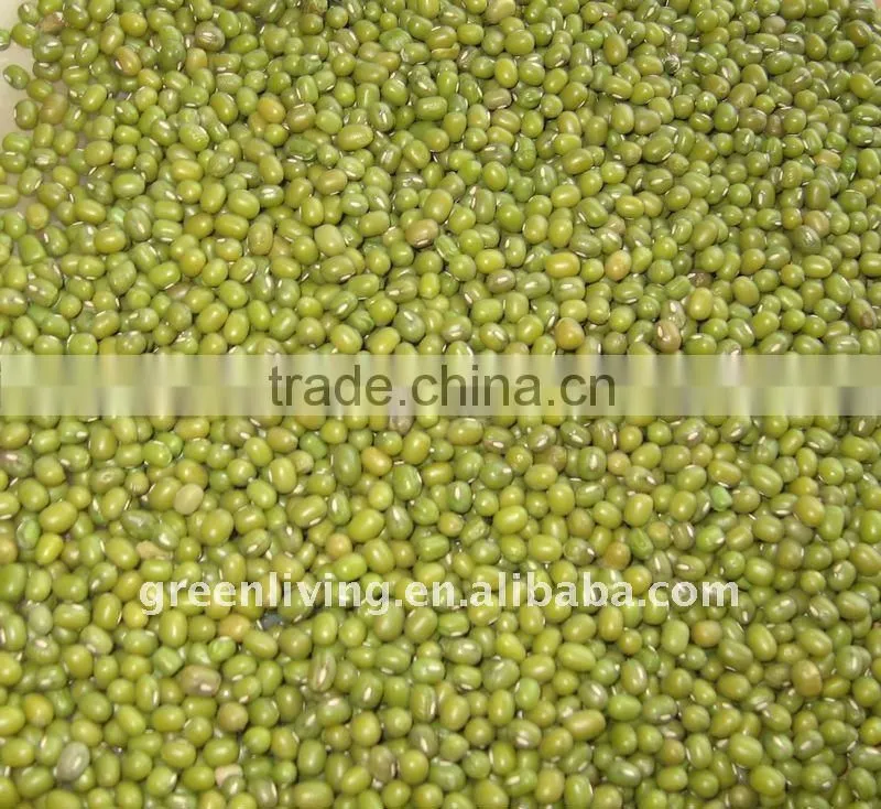 sell chinese dried green mung bean(2011 new crop)
