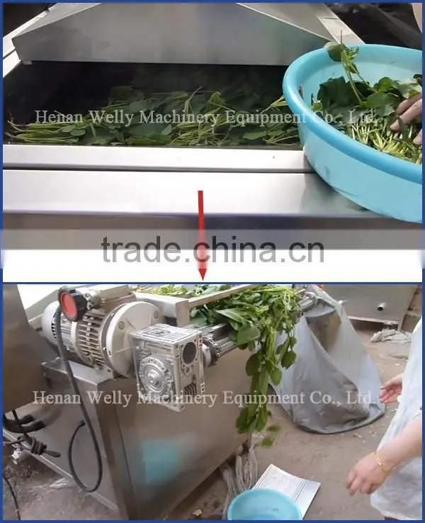 Hot sale factory price advanced design vegetable and fruit blanching machine